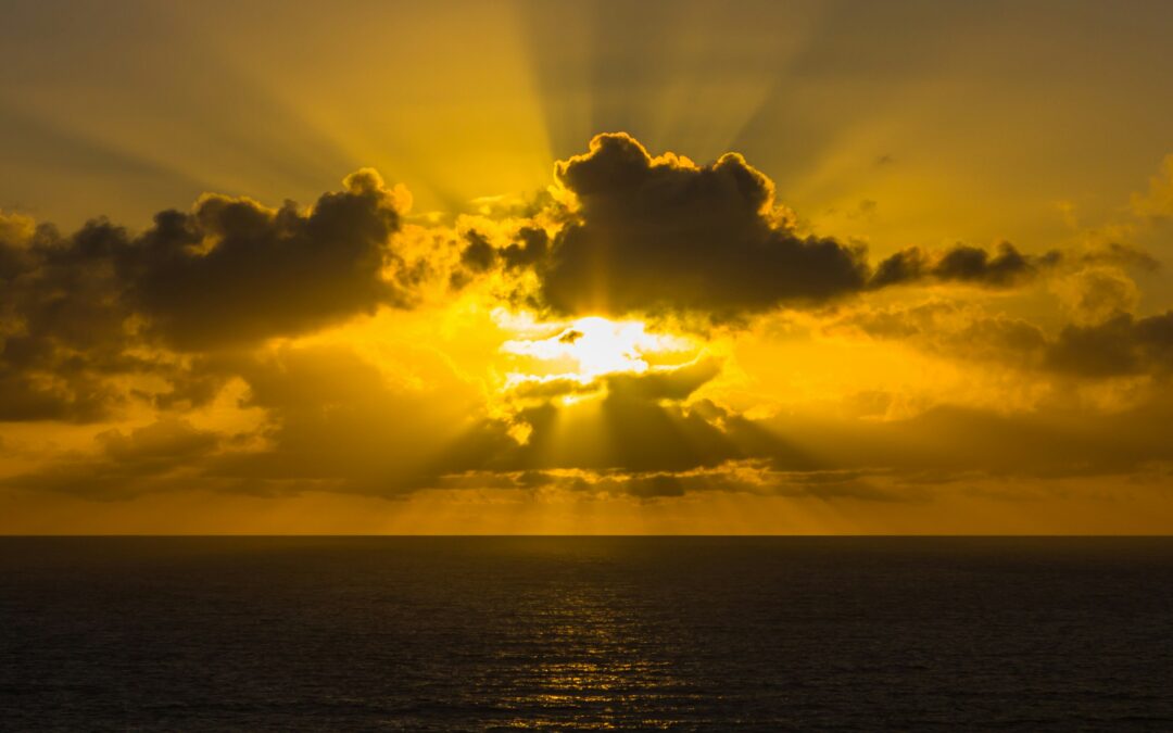 GRACE….AMAZING!