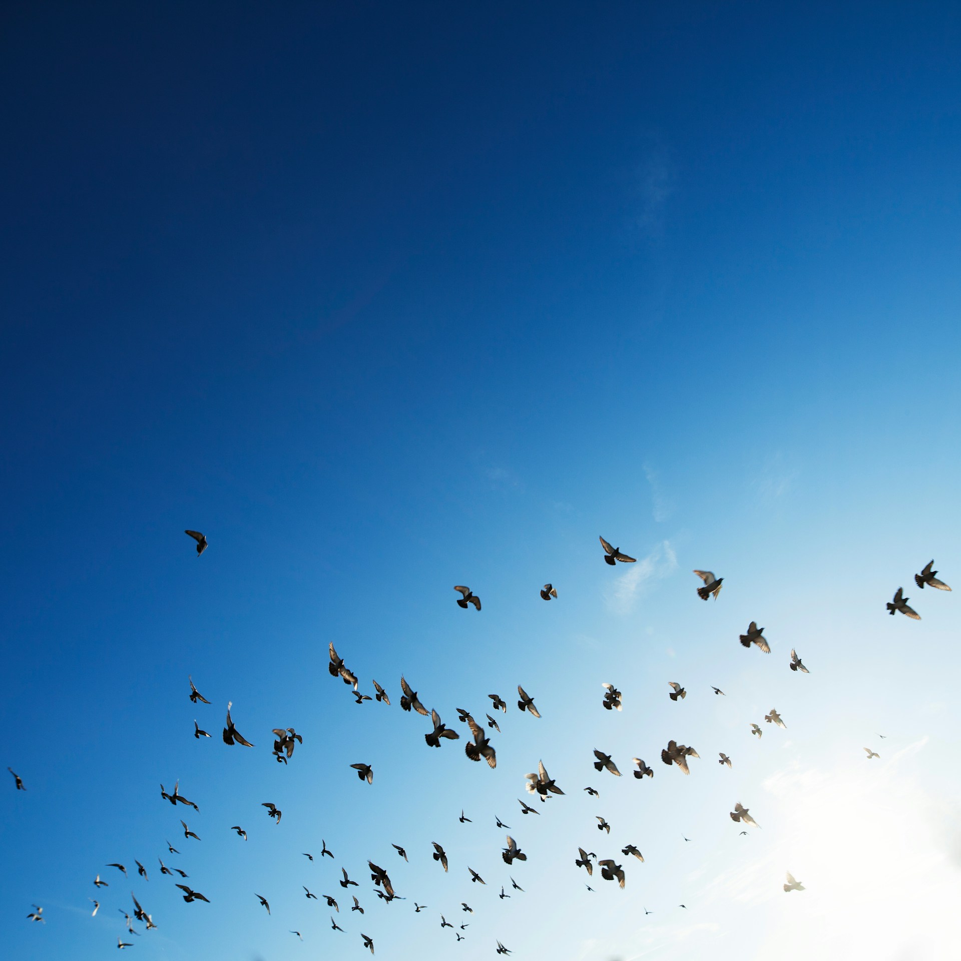 rowan-heuvel-e-S-Pe2EmrE-unsplash